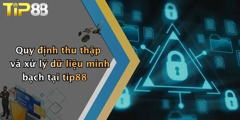 Quy định thu thập và xử lý dữ liệu minh bạch tại tip88